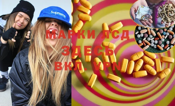 спайс Алзамай