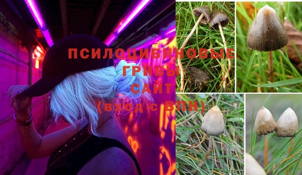 герыч Арсеньев