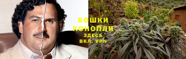 спайс Алзамай